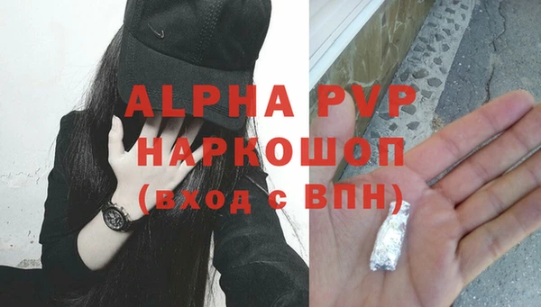 стаф Арсеньев