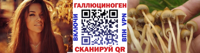 продажа наркотиков  Нижнеудинск  Псилоцибиновые грибы GOLDEN TEACHER 